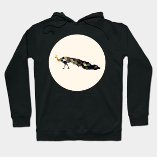 PE▵COCK Hoodie